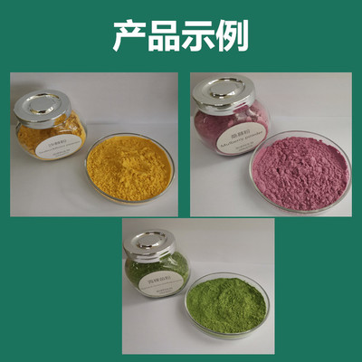 白蘿卜葉提取物 植物萃取原料 精細(xì)粉末 蘆菔葉粉