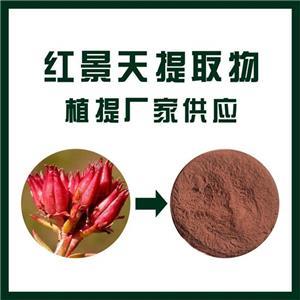 紅景天提取物