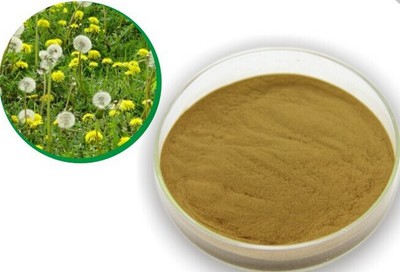 蒲公英酵素 植物