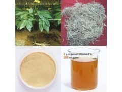 人參提取物_商城_西安天瑞生物技術(shù)供應(yīng)部會員商鋪-中國貿(mào)易網(wǎng)-會員網(wǎng)站