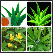 天然原料提取物_粉氨甲苯酸油_蘆薈蝦青素提取物_廠家批發(fā)_采購價(jià)格 