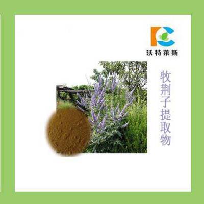 牡荊子提取物 牡荊實(shí)提取物 1公斤起訂10:1